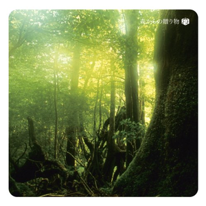 黄男同瑟瑟视频
